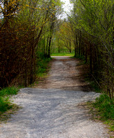 Culham Trail in Riverview Park, Mississauga