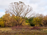 The Middle of Credit Meadows, Autumn 2