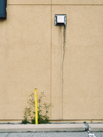 Hot Vent and Yellow Pole