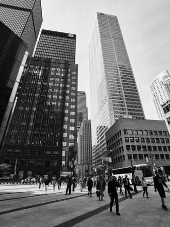 Commerce Court West from Royal Bank Plaza