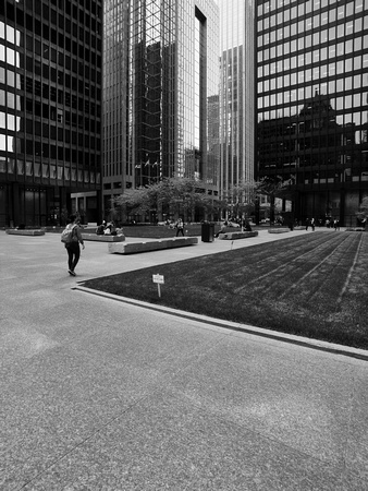 Toronto-Dominion Centre Courtyard I