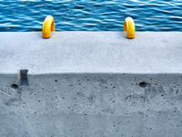 Concrete Shore/Swim Ladder