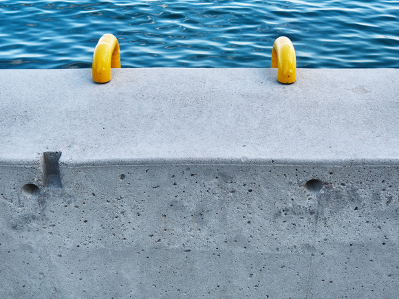 Concrete Shore/Swim Ladder