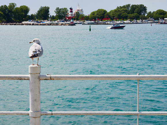 Seagull Lookout Upon Sarnia Bay and St. Clair River