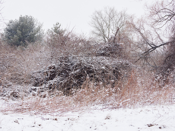 The Middle of Credit Meadows, Winter 8