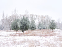 The Middle of Credit Meadows, Winter 6